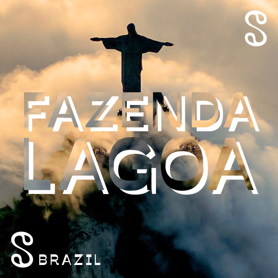 Brazil- Fazenda Lagoa