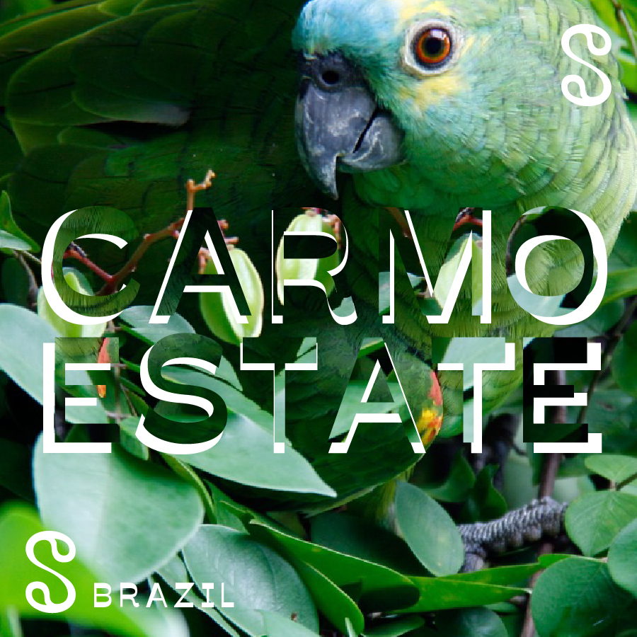 Brazil – Carmo Estate Filter