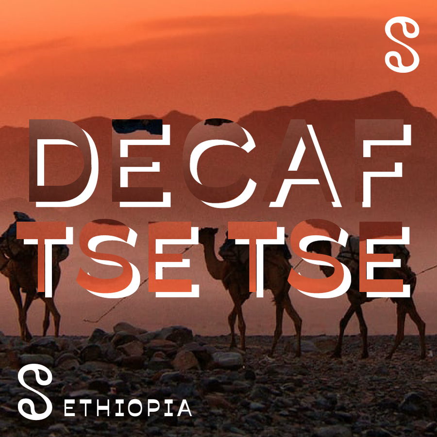 Ethiopia – Decaf TSE TSE