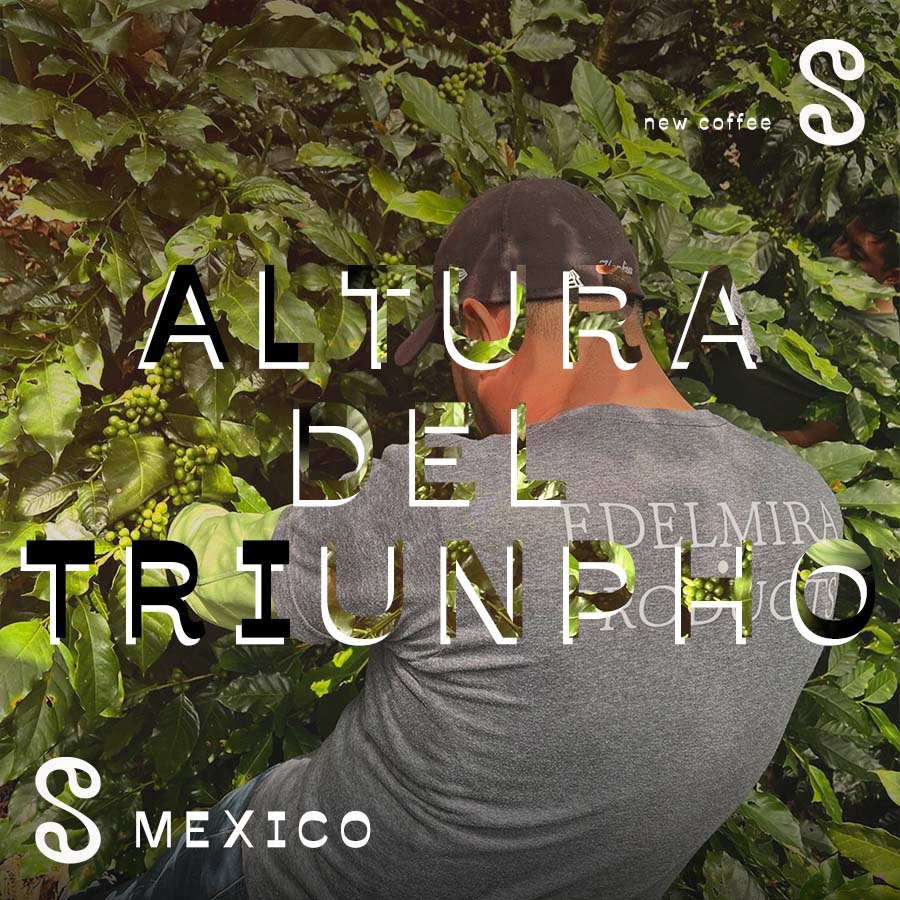 Altura Del Triunfo